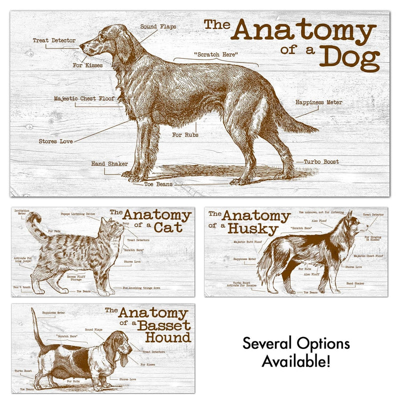 Load image into Gallery viewer, Fan Creations 6x12 Pet Anatomy of a Dog/Cat 6x12
