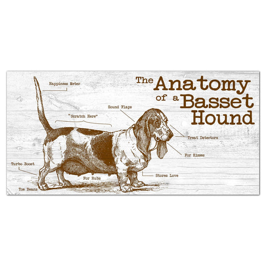 Fan Creations 6x12 Pet Basset Hound Anatomy of a Dog/Cat 6x12