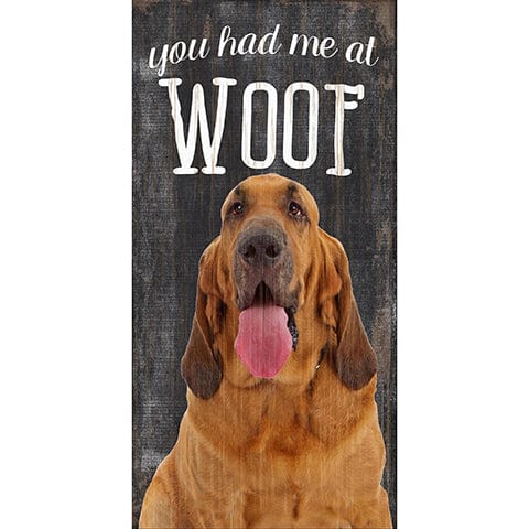 Fan Creations 6x12 Pet Bloodhound You Had Me At Woof 6x12