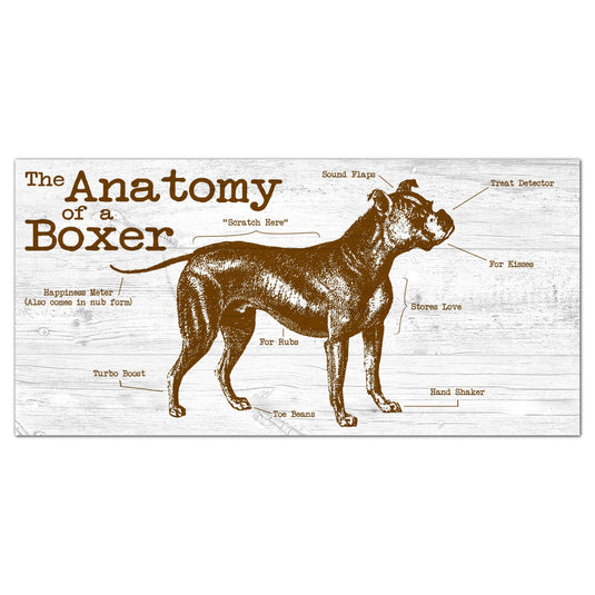 Fan Creations 6x12 Pet Boxer Anatomy of a Dog/Cat 6x12