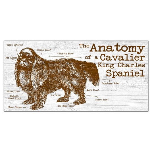 Fan Creations 6x12 Pet Cavalier King Charles Spaniel Anatomy of a Dog/Cat 6x12