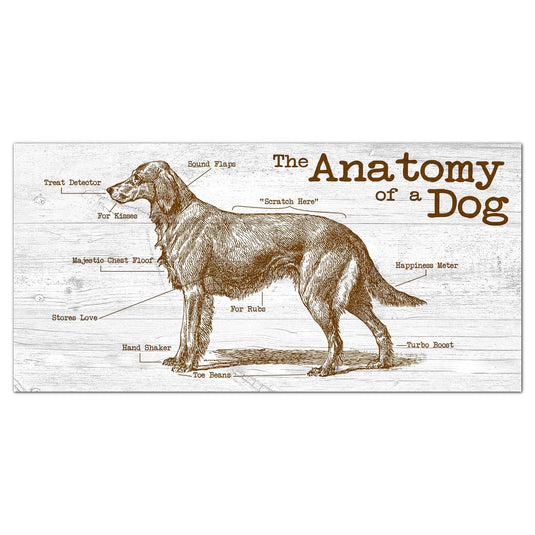 Fan Creations 6x12 Pet Dog Anatomy of a Dog/Cat 6x12
