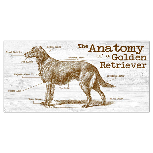 Fan Creations 6x12 Pet Golden Retriever Anatomy of a Dog/Cat 6x12