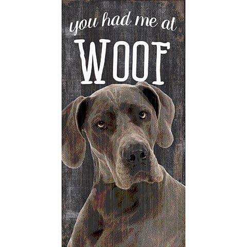 Load image into Gallery viewer, Fan Creations 6x12 Pet Great Dane You Had Me At Woof 6x12
