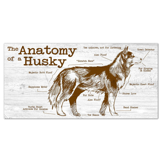 Fan Creations 6x12 Pet Husky Anatomy of a Dog/Cat 6x12