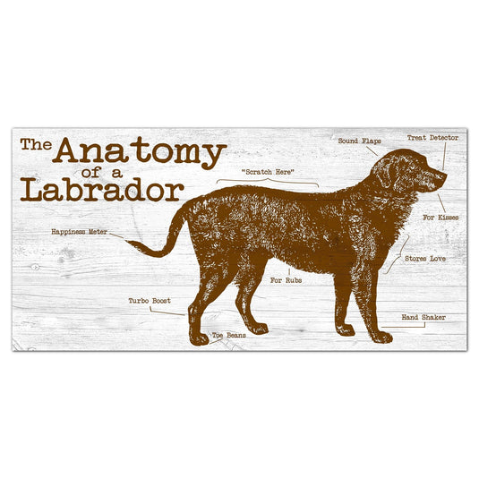 Fan Creations 6x12 Pet Labrador Anatomy of a Dog/Cat 6x12